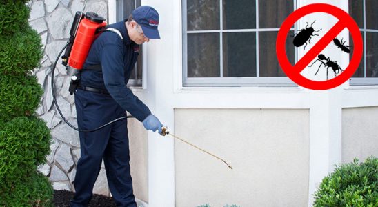 Şahinbey Dezenfeksiyon böcek ilaçlama ve haşere kontrolü — ilaclama-tr.com